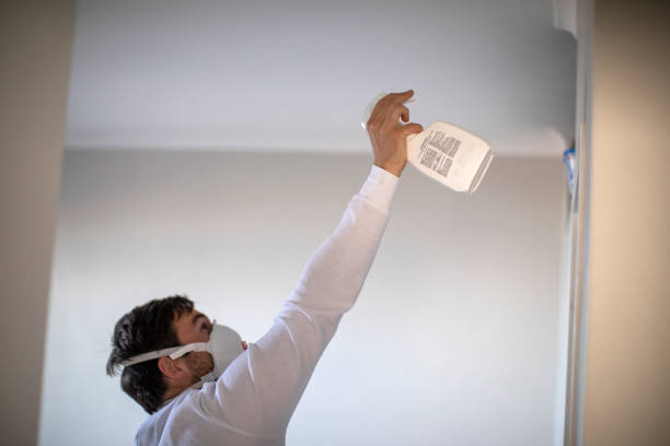 Best Mold Remediation for Schools in Dearborn, MI