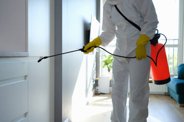 Best Emergency Mold Remediation in Dearborn, MI